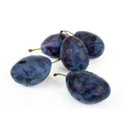 ����� ���� ����� ������� Prunus domestica%2